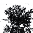 Polsko, Mal� Czermna 1998, tu�