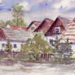 Bukvice od B�m� r. 2000, akvarel z archivu
