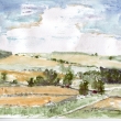 Bukvická pole přede žněmi, akvarel 2011