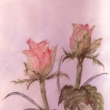zelené růže, akvarel